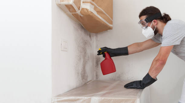 Professional Mold Removal technician working in Allentown, NJ
