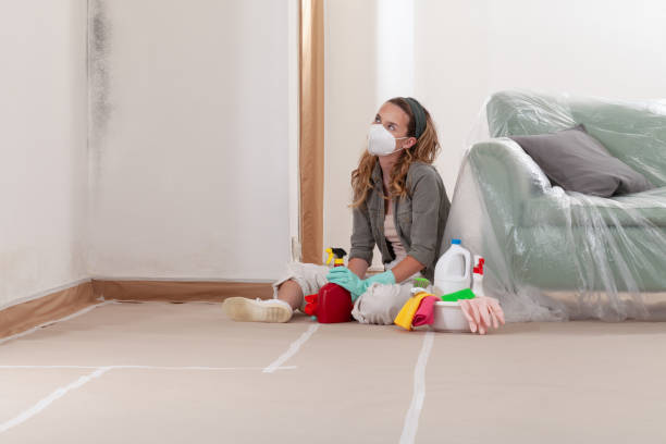 Reliable Mold Removal contractor in Allentown, NJ by WQB Mold Removal